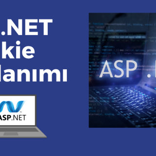 Asp.NET Cookie