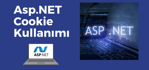 Asp.NET Cookie