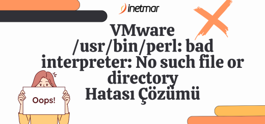 VMware /usr/bin/perl: bad interpreter: