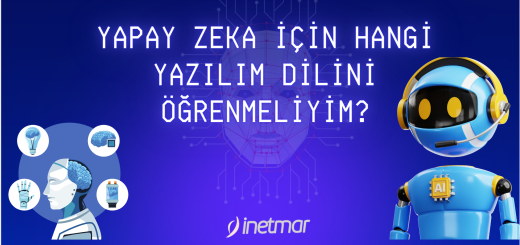 Yapay Zeka için Hangi Yazılım Dilini