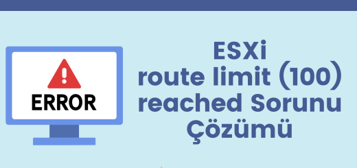 ESXi route limit (100) reached