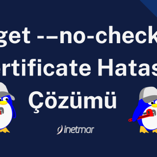 wget ––no-check-certificate
