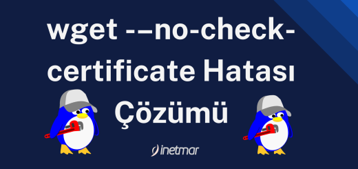 wget ––no-check-certificate