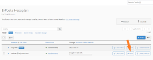 E-Posta Yönetimi (cPanel)