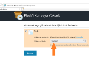 Windows Server Plesk Kurulumu