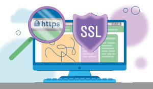 EV SSL Nedir?