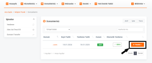 Nameserver Nasıl Tanımlanır?