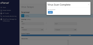 WordPress virüs taraması