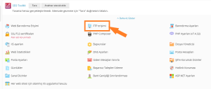 Plesk FTP Şifre Değişikliği