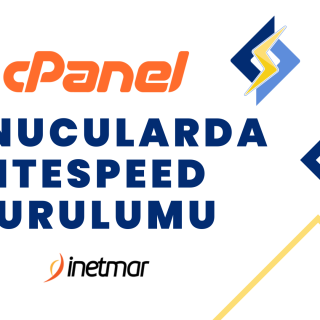 cPanel Sunucularda LiteSpeed Kurulumu