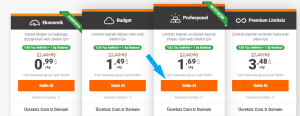 Hosting Nasıl Alınır?