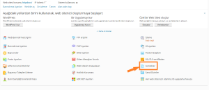 Plesk Panel Log Kayıtlarını Silme
