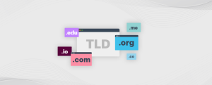 TLD nedir