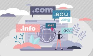 Top Level Domain nedir