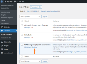 WordPress Sürümünü nasıl düşürürüm