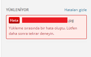 Wordpress Yükleme sırasında bir hata oluştu. Lütfen daha sonra tekrar deneyin
