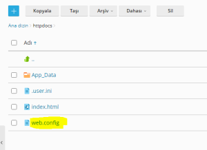 web.config IP Engelleme