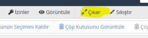 FTP ile WordPress taşıma