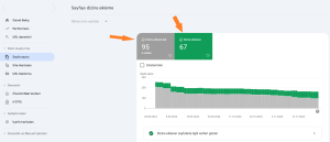 Google tarafından indekslenen sayfalarımı nasıl görebilirim