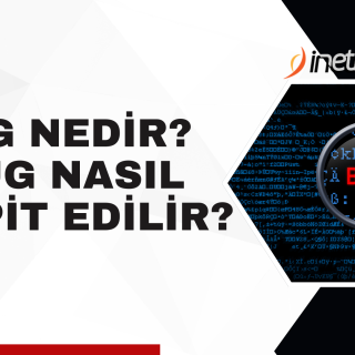Bug Nedir? Bug Nasıl Bulunur?