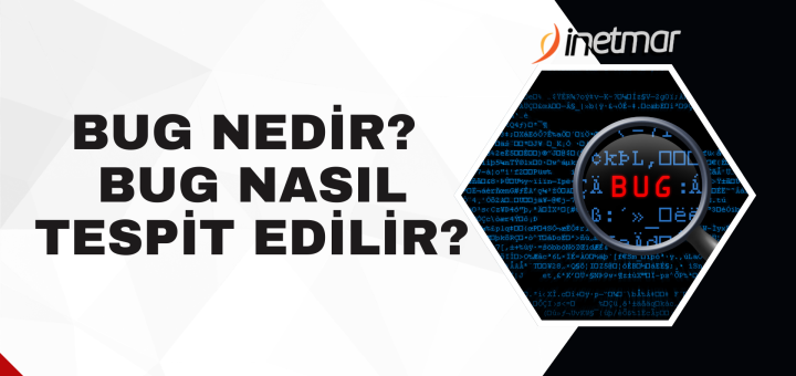 Bug Nedir? Bug Nasıl Bulunur?