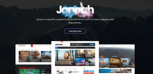 en iyi WordPress haber teması