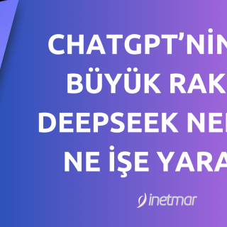 Deepseek Nedir