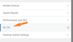 WordPress Gururla Sunar Yazısı Kaldırma