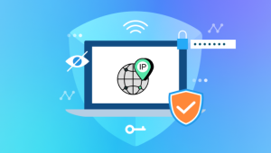 Linux Sunucuda Public IP Nasıl Öğrenilir?