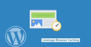 Wordpress Leverage Browser Caching Uyarıs