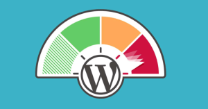 WordPress Site Hızlandırma