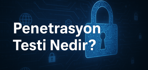 Penetrasyon Testi
