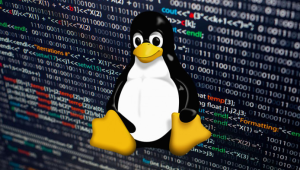 Linux Disk Genişletme