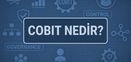 Cobit Nedir