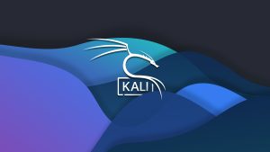 Kali Linux Nedir