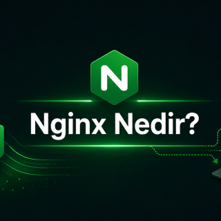nginx