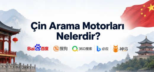 Çin Arama Motorları